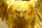 OOO "Gold-SITI"